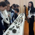 Передвижные выставки и музейные лекции