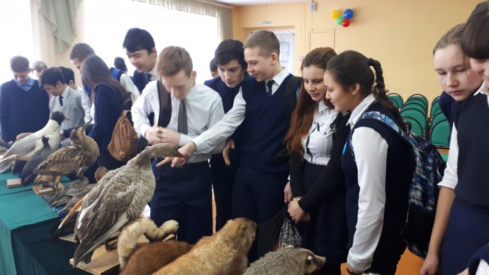 Передвижные выставки и музейные лекции 1 Передвижные выставки и музейные лекции 1