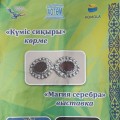 Торжественное открытие выставки «Магия серебра»
