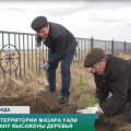 На территории мазара Уали хану высажены деревья