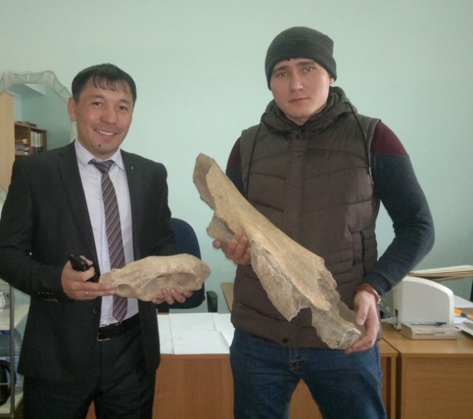 Палеонтологические останки 0 Палеонтологические останки 0