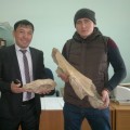 Палеонтологические останки