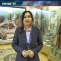 Интервью по статье Главы государства «Семь граней Великой степи»