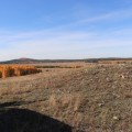Итоги разведывательной экспедиции