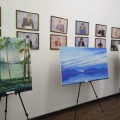 Брифинг акима Акмолинской области Маржикпаева Е.Б.