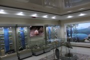 Exposition 7