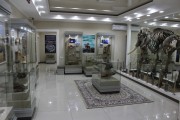 Exposition 2