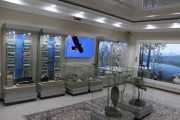 Exposition 5