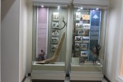Exposition 4