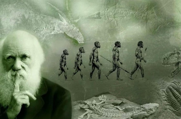 День Дарвина (Darwin Day) 3 День Дарвина (Darwin Day) 3